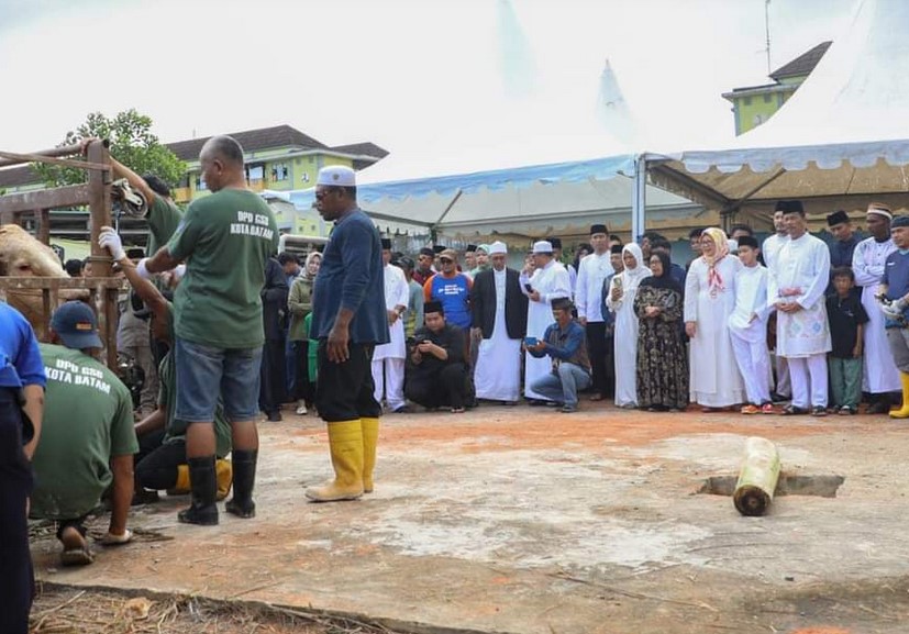 Walikota Batam Muhammad Rudi serahkan 6 sapi kurban
