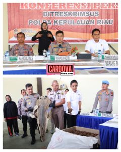 POLDA KEPRI BERHASIL GAGALKAN PENYELUNDUPAN HASIL LAUT, SATWA DILINDUNGI DAN PENYALAHGUNAAN MIGAS