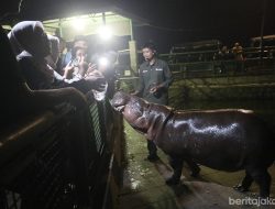 Gubernur Jakarta, Pramono Klaim Wisata Malam TMR Diminati Masyarakat