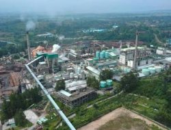 Akses Ditangguhkan Pemerintah, Toba Pulp Lestari (INRU) Stop Sementara Operasional