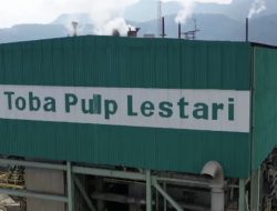 Presiden Prabowo : Audit dan Evaluasi Total PT. Toba Pulp Lestari