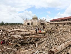 Kemenhut Angkut Ratusan Kayu Sisa Banjir di Aceh, Sumut, dan Sumbar untuk Huntara Warga
