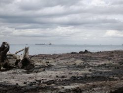 Insiden LCT MGS di Sekupang: Pembersihan Limbah B3 Capai 90 Persen, KLH Turunkan Tiga Profesor Lingkungan