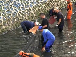 Pemprov DKI Intensifkan Pengerukan Sungai dan Pengendalian Ikan Sapu-Sapu Serentak Jumat Ini